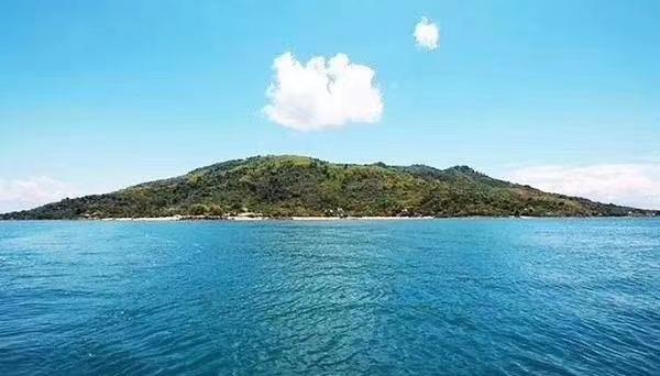 365马达拆解,一次动手实践的深度解析 365马达拆解,一次动手实践的深度解析